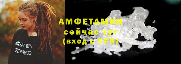 индика Рославль