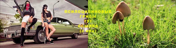 кристаллы Алзамай