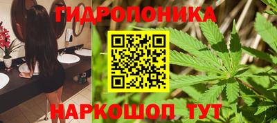 ECSTASY Лесосибирск