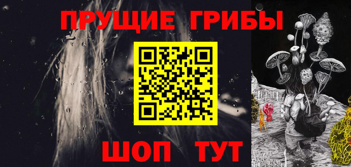 Избербаш  Галлюциногенные грибы Psilocybe  Вход с VPN  Галлюциногенные грибы GOLDEN TEACHER 
